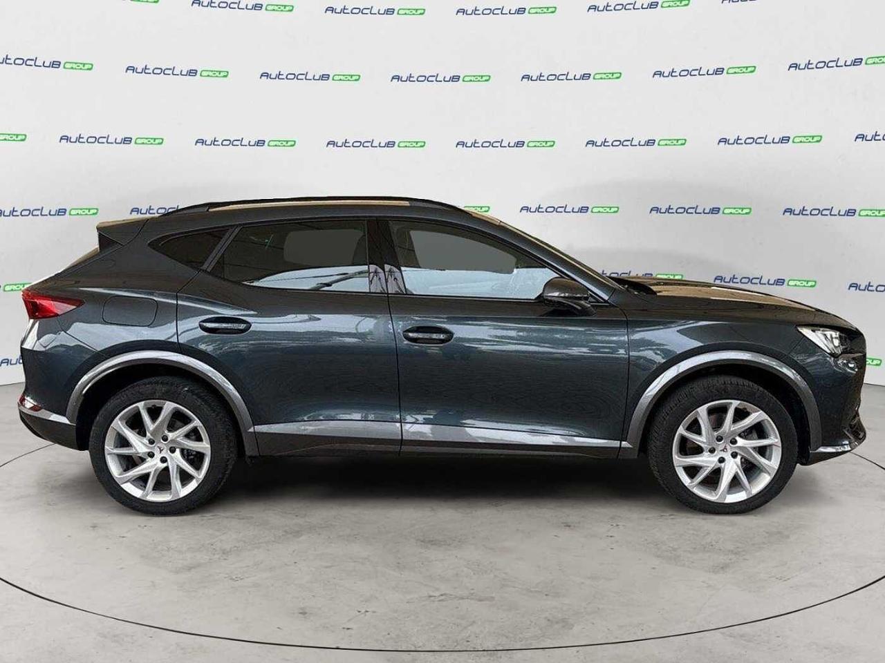 Cupra Cupra Formentor usata 19