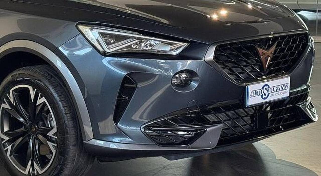 Cupra Cupra Formentor usata 10