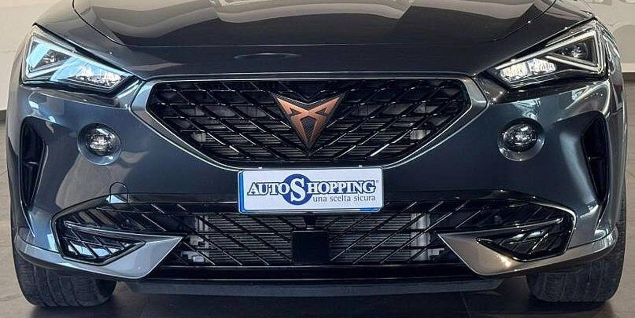 Cupra Cupra Formentor usata 12