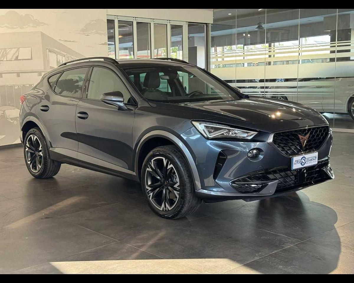 Cupra Cupra Formentor usata 13