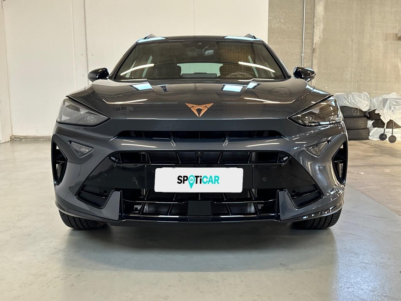 Cupra Cupra Formentor usata 11