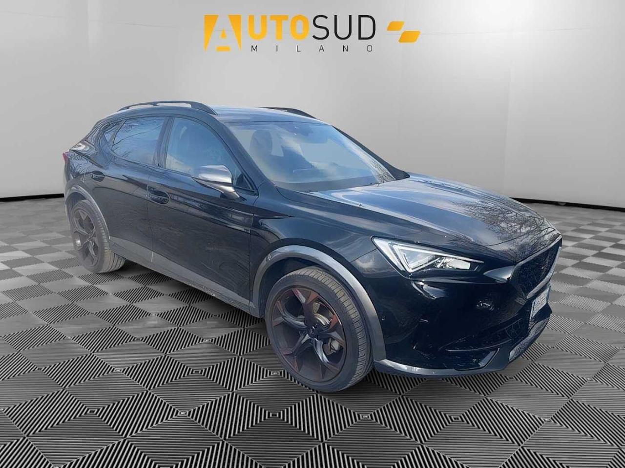 Cupra Cupra Formentor usata 14