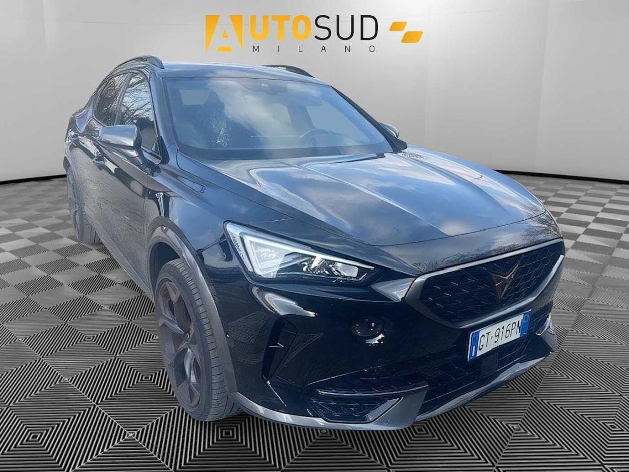Cupra Cupra Formentor usata 15