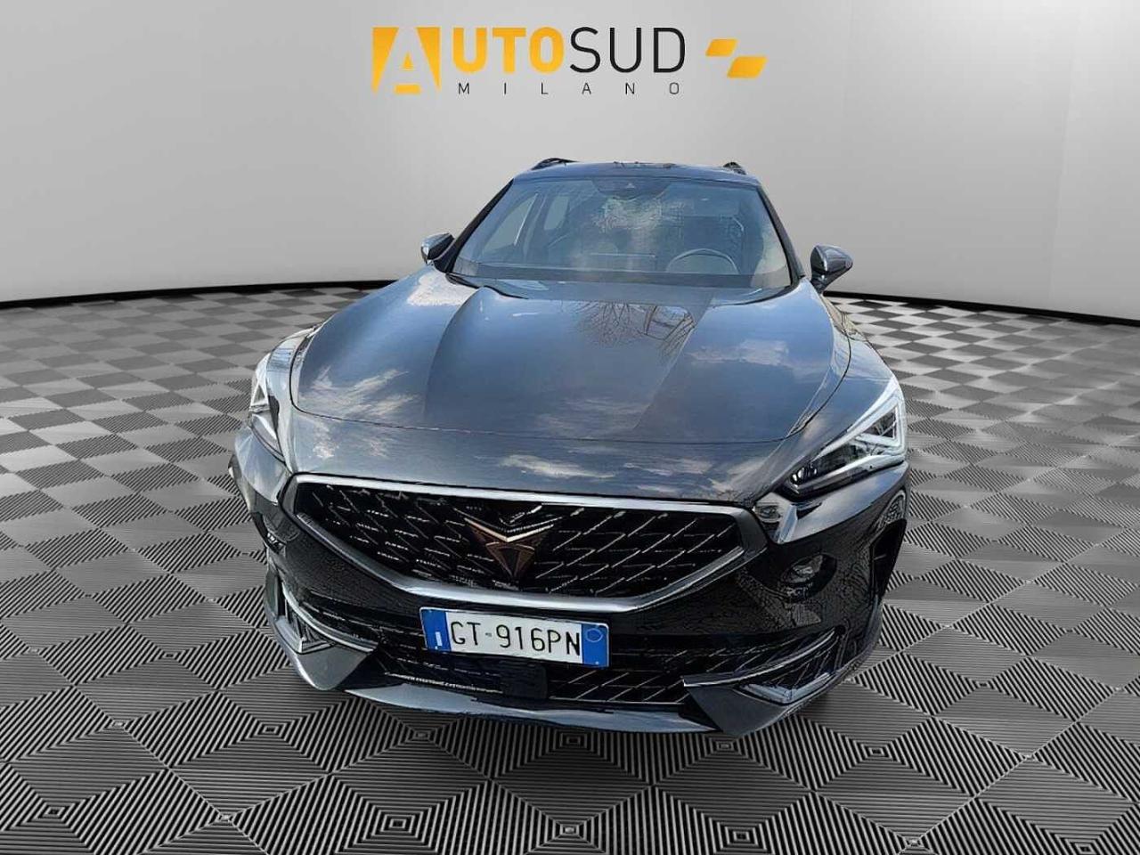 Cupra Cupra Formentor usata 16