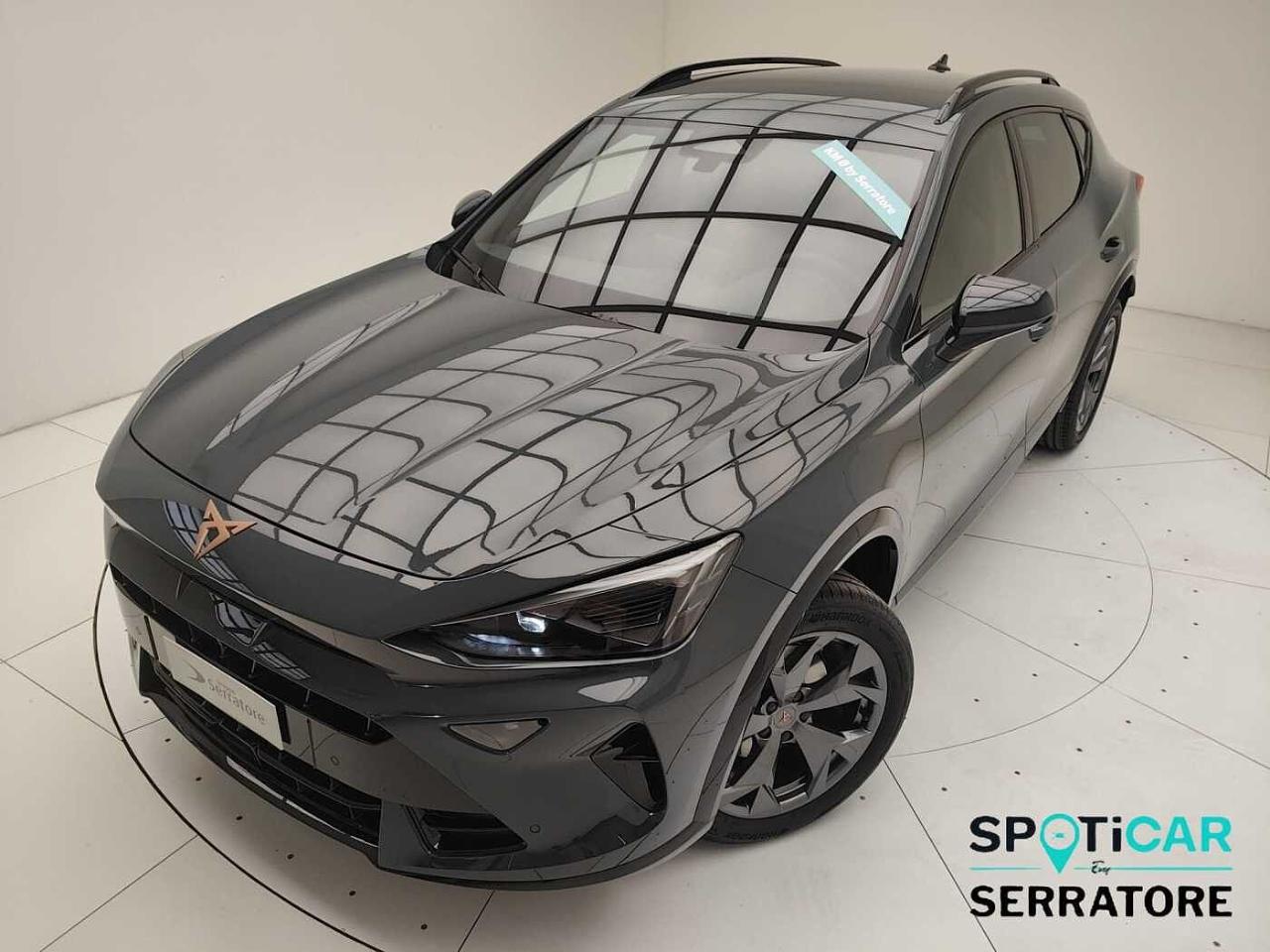 Cupra Cupra Formentor usata 6