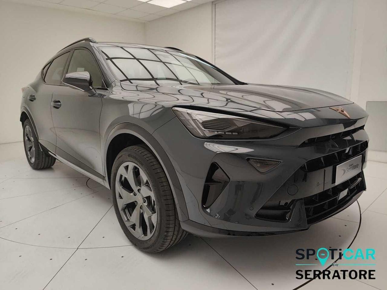 Cupra Cupra Formentor usata 15