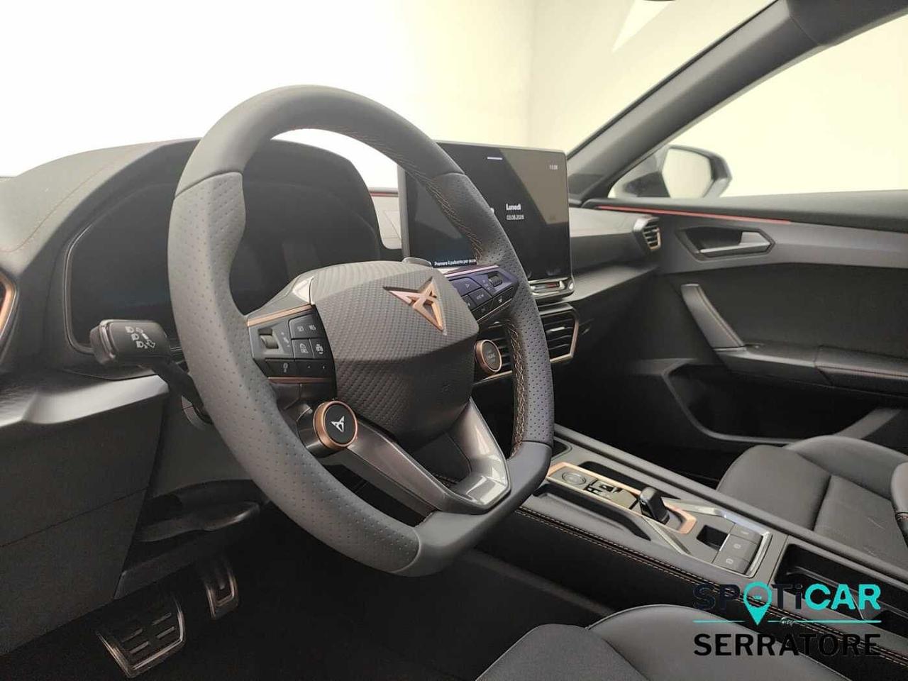 Cupra Cupra Formentor usata 21