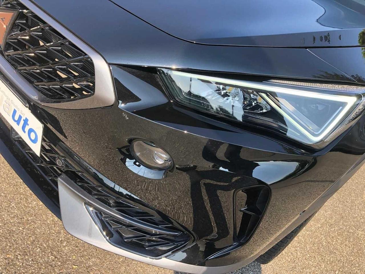Cupra Cupra Formentor usata 12