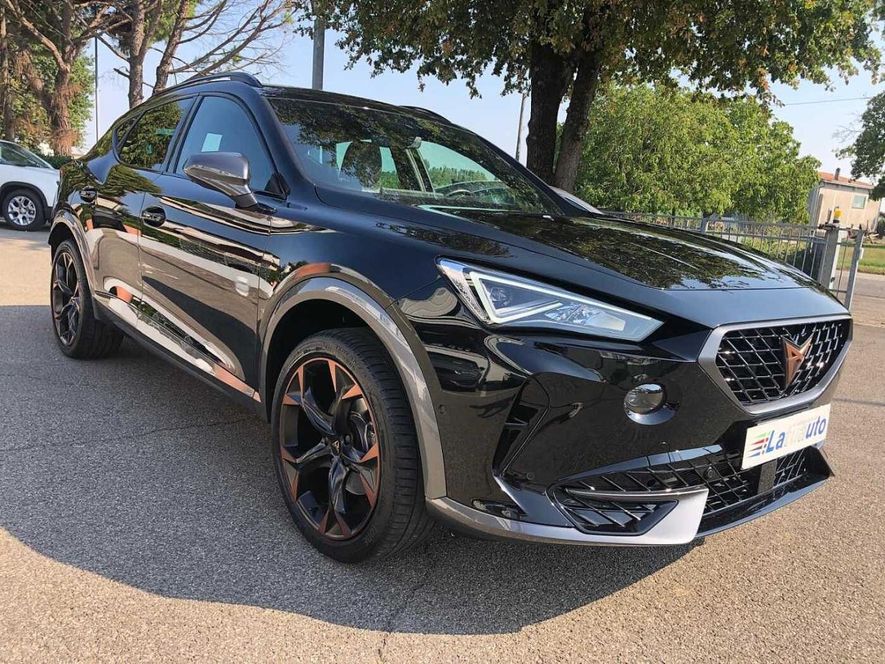 Cupra Cupra Formentor usata 18