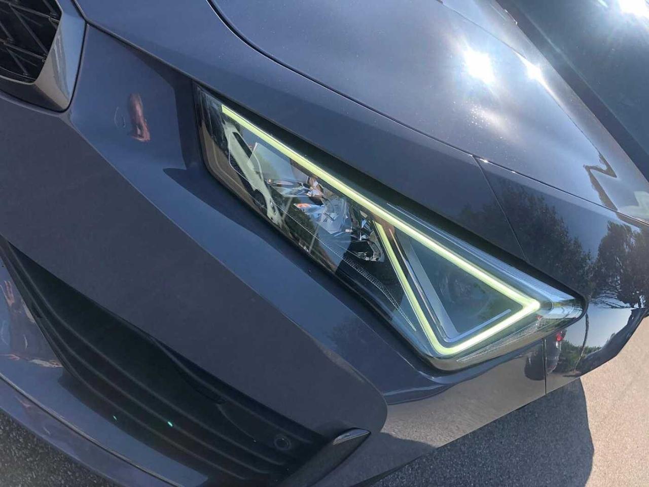 Cupra Cupra Leon usata 13