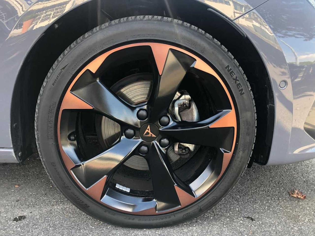 Cupra Cupra Leon usata 14