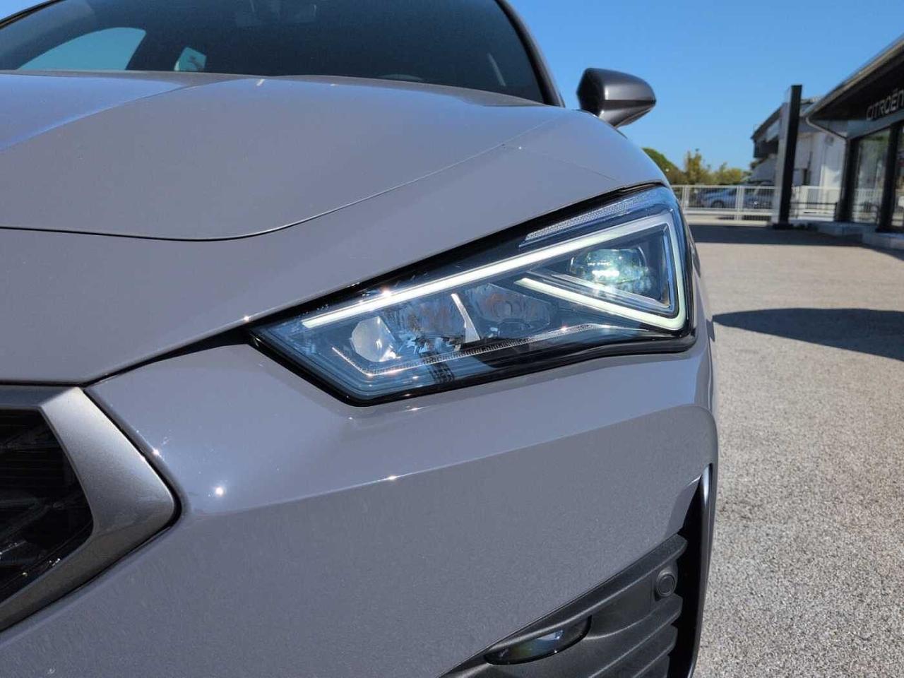 Cupra Cupra Leon usata 7