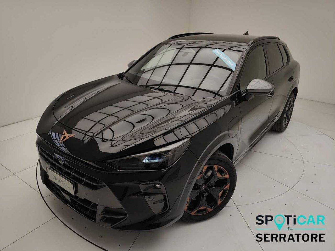 Cupra cupra terramar usata 4
