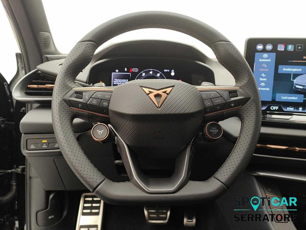 Cupra cupra terramar usata 6