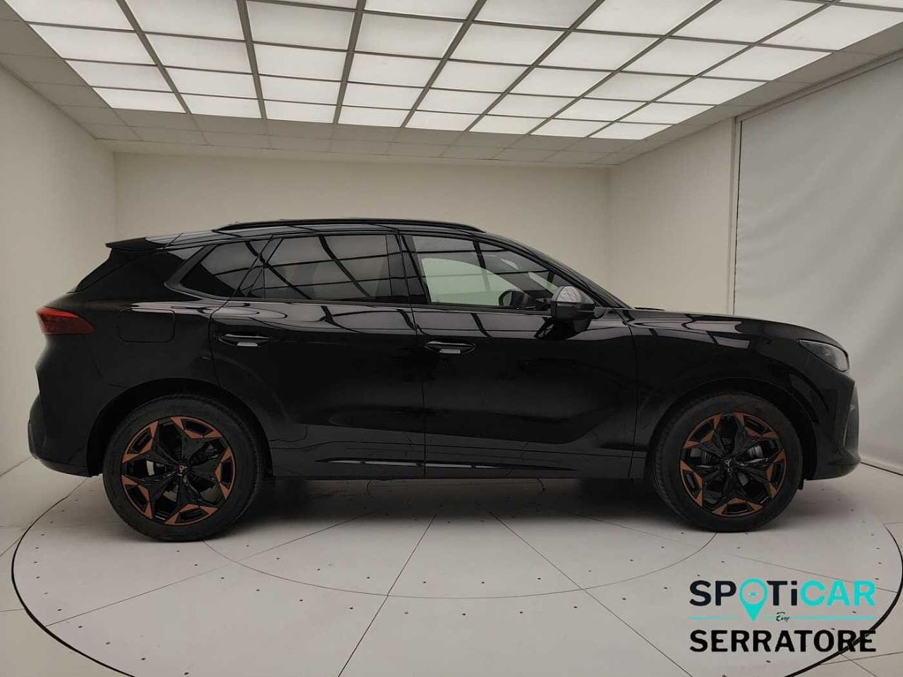 Cupra cupra terramar usata 9