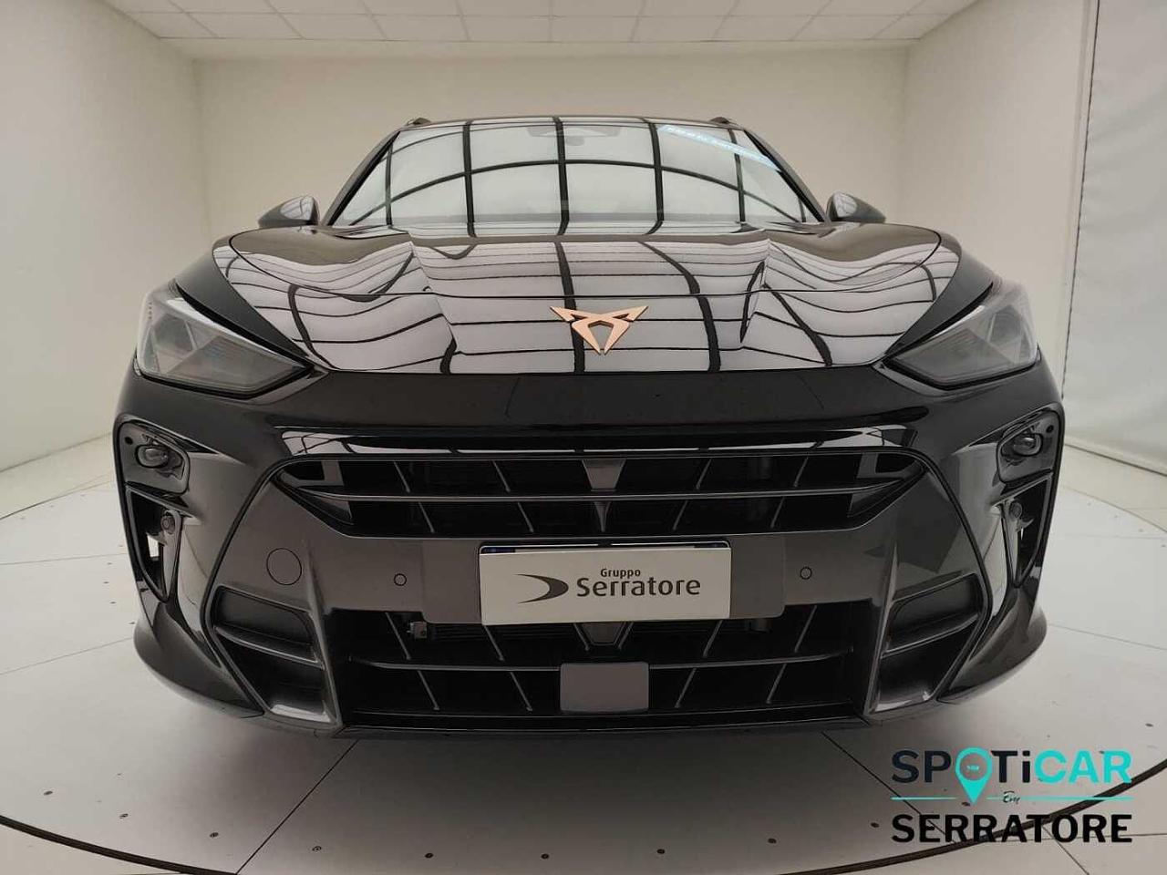 Cupra cupra terramar usata 11