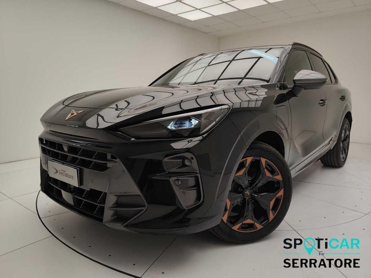 Cupra cupra terramar usata 12