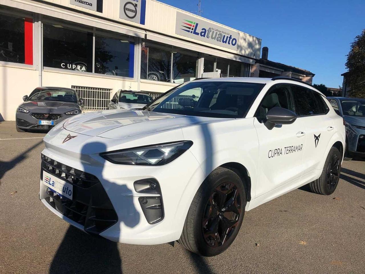 Cupra terramar