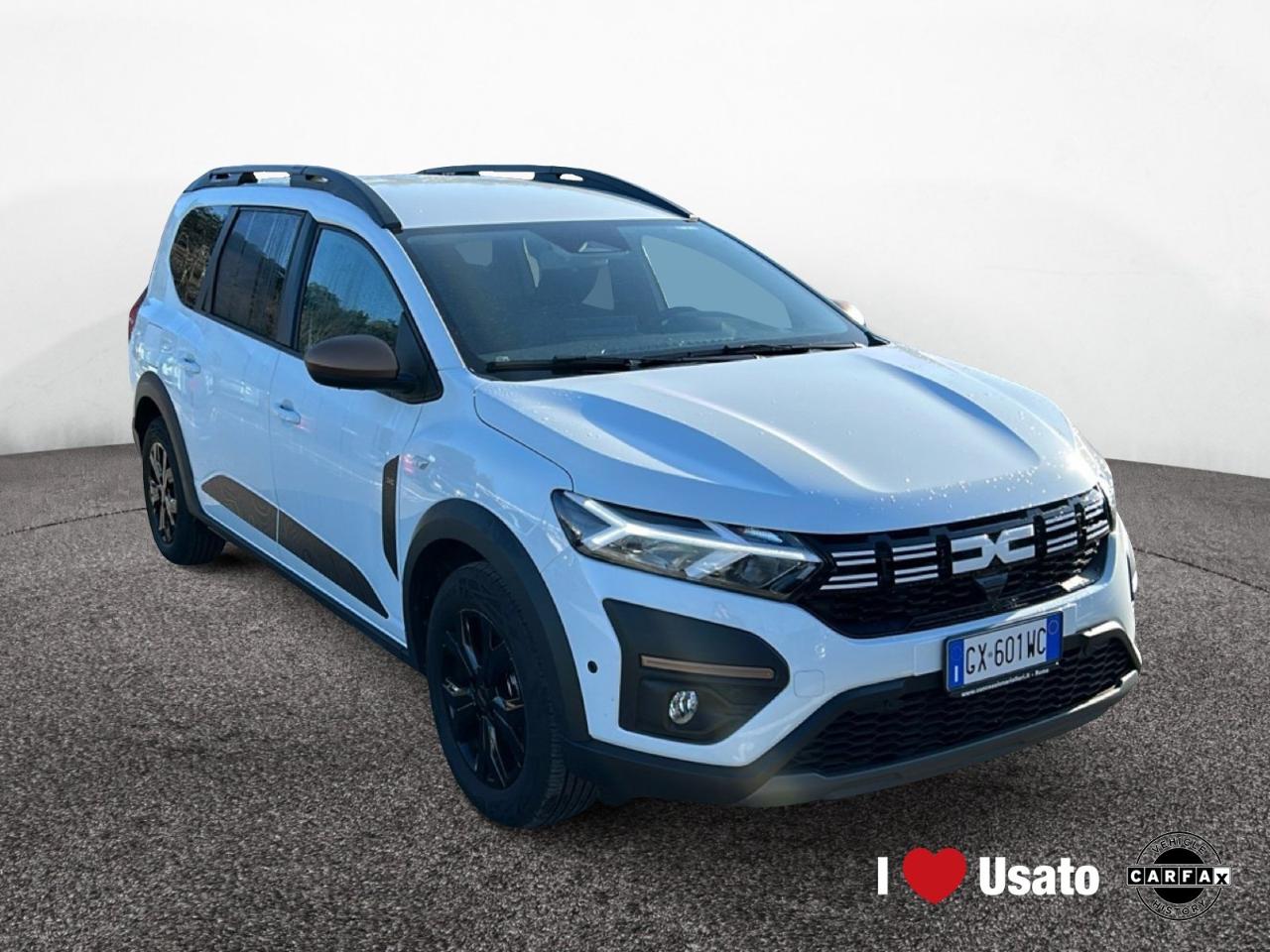 Dacia Dacia Logan usata 11