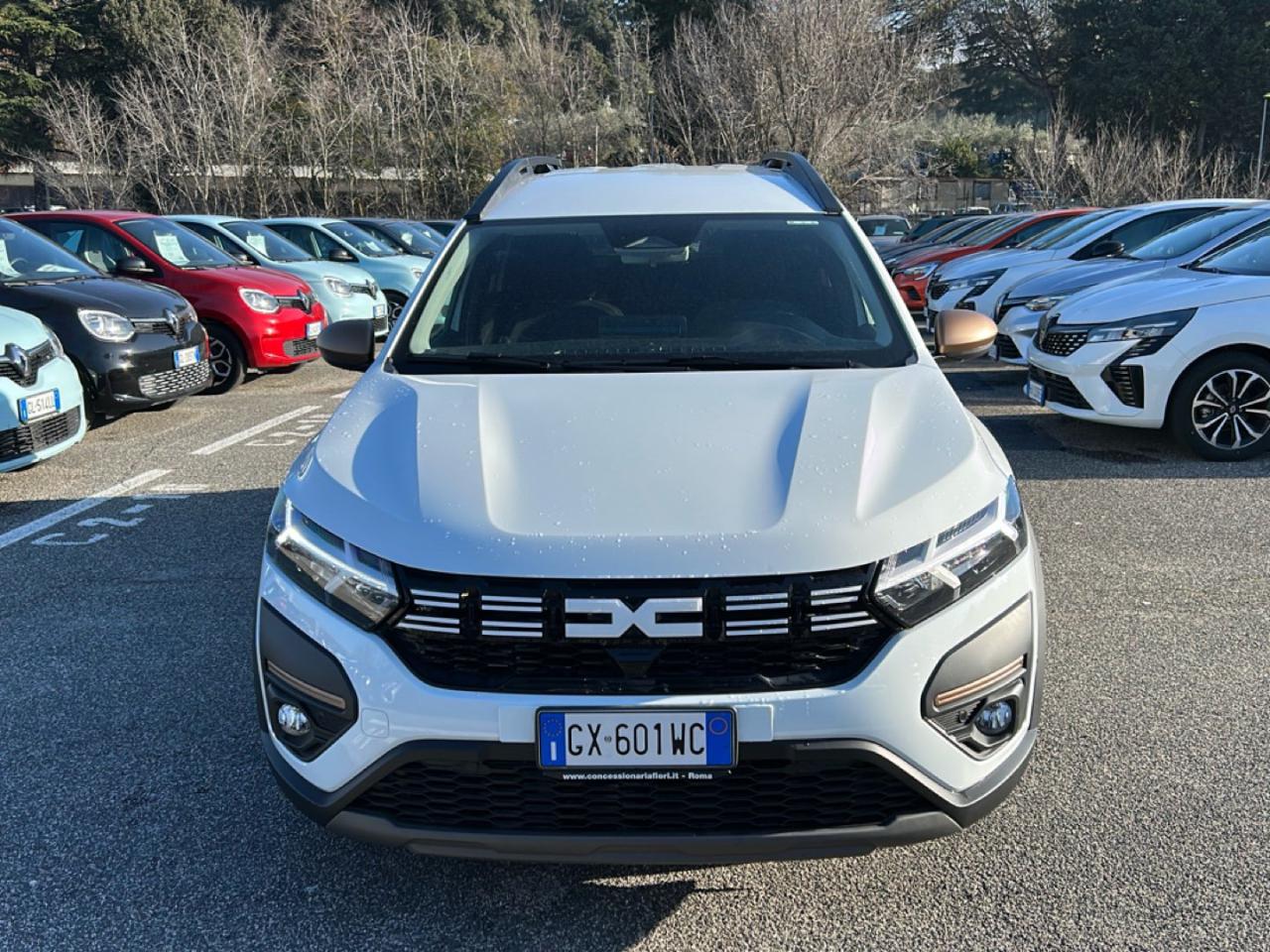 Dacia Dacia Logan usata 17