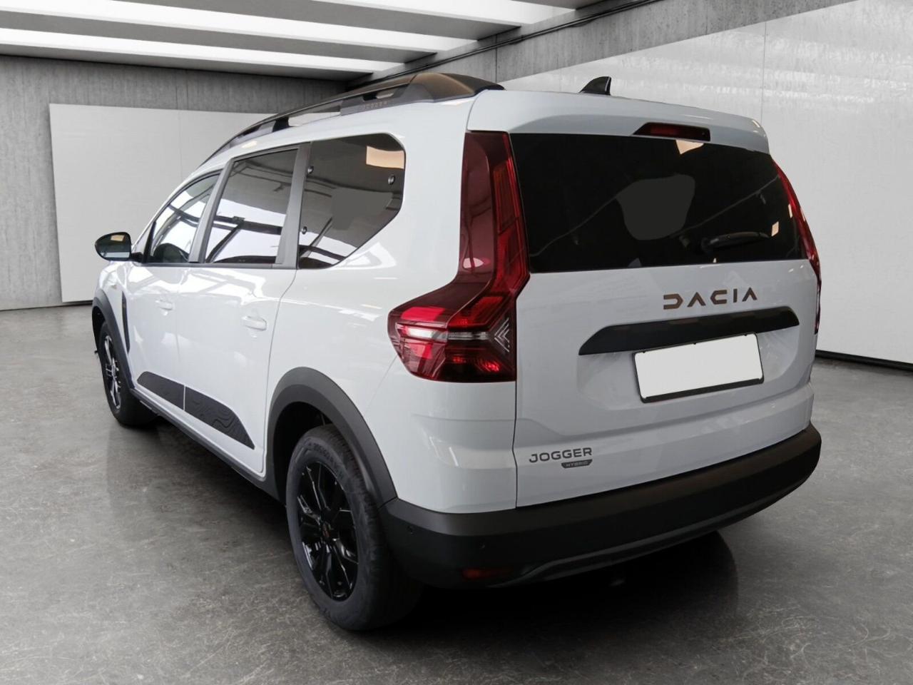 Dacia Dacia Logan usata 14