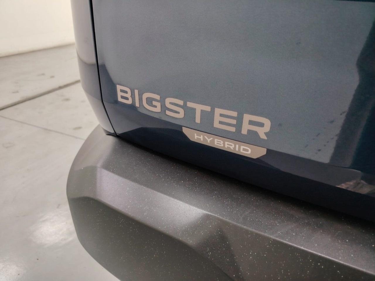 Dacia Dacia Logan usata 14