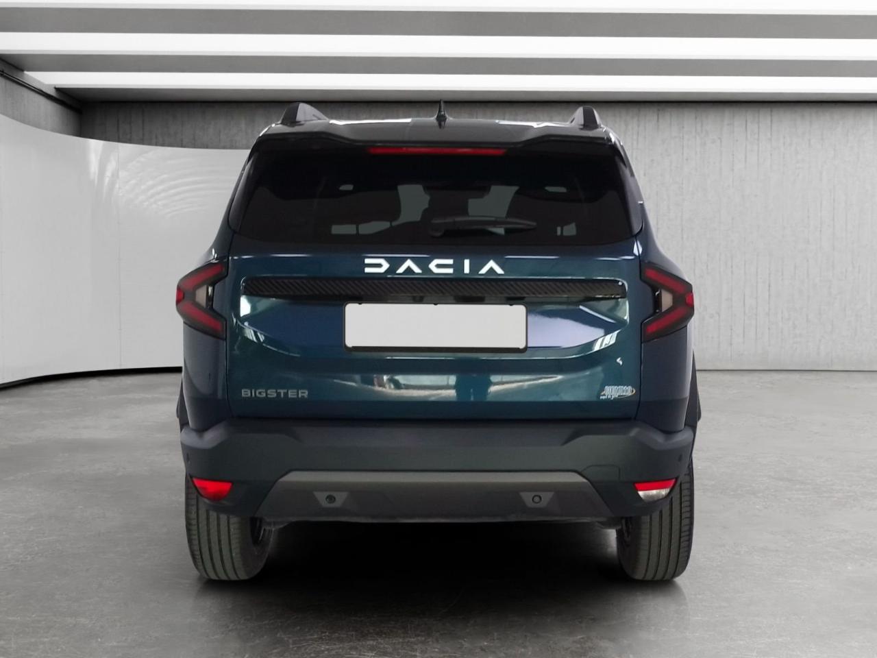 Dacia Dacia Logan usata 19