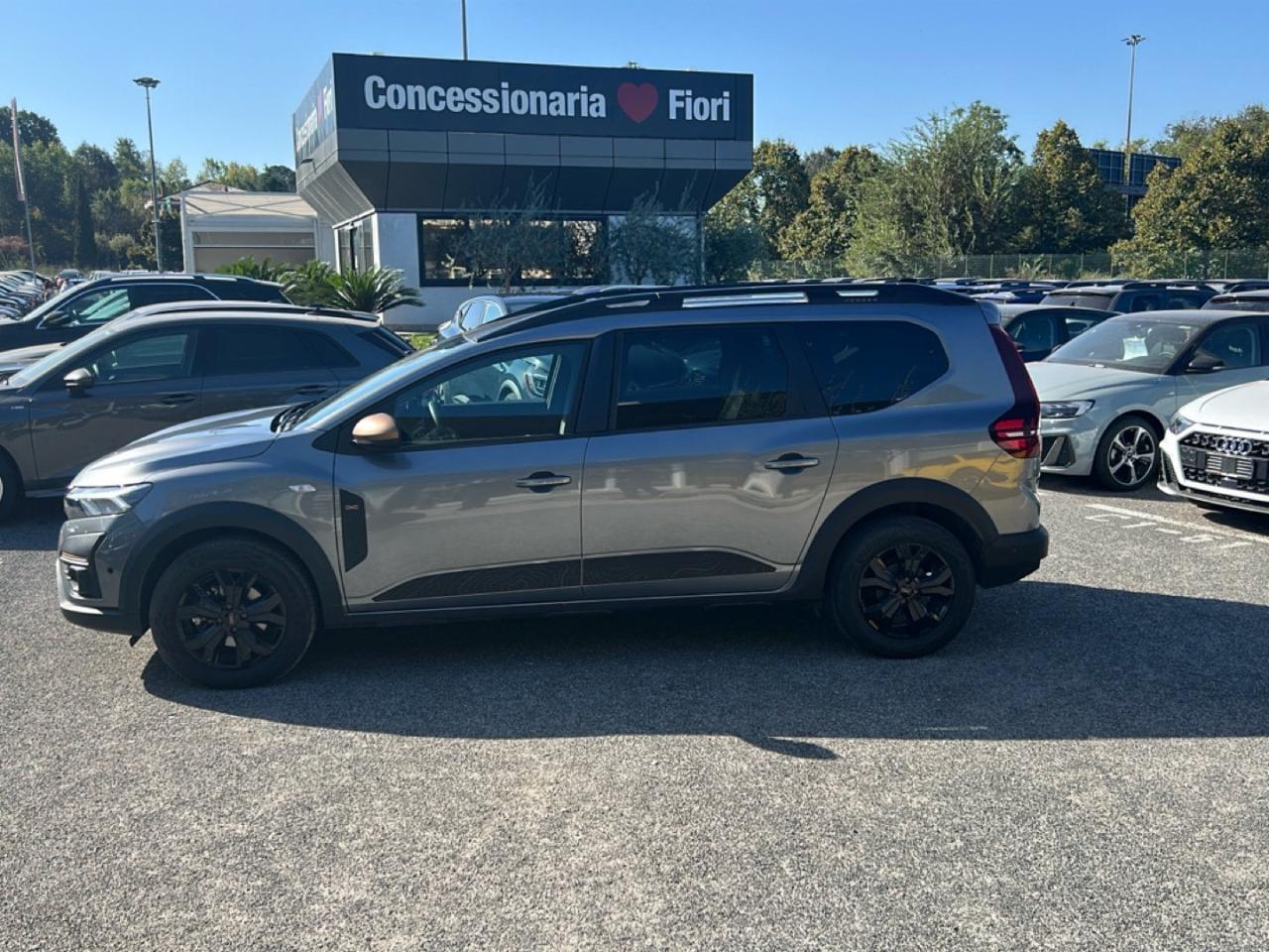 Dacia Dacia Logan usata 18