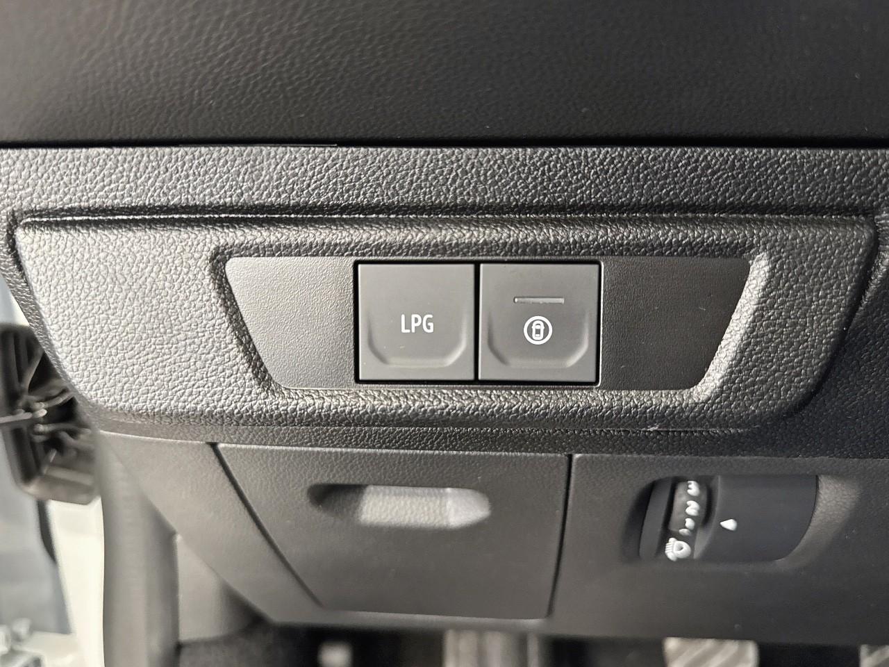 Dacia Dacia Sandero usata 9