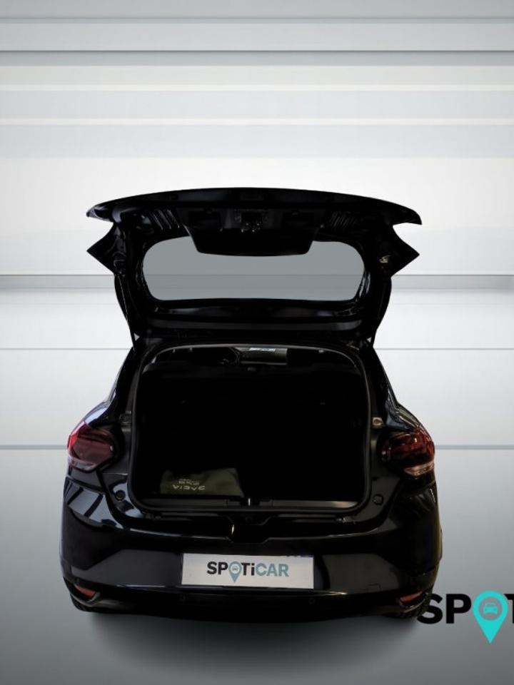 Dacia Dacia Sandero usata 2