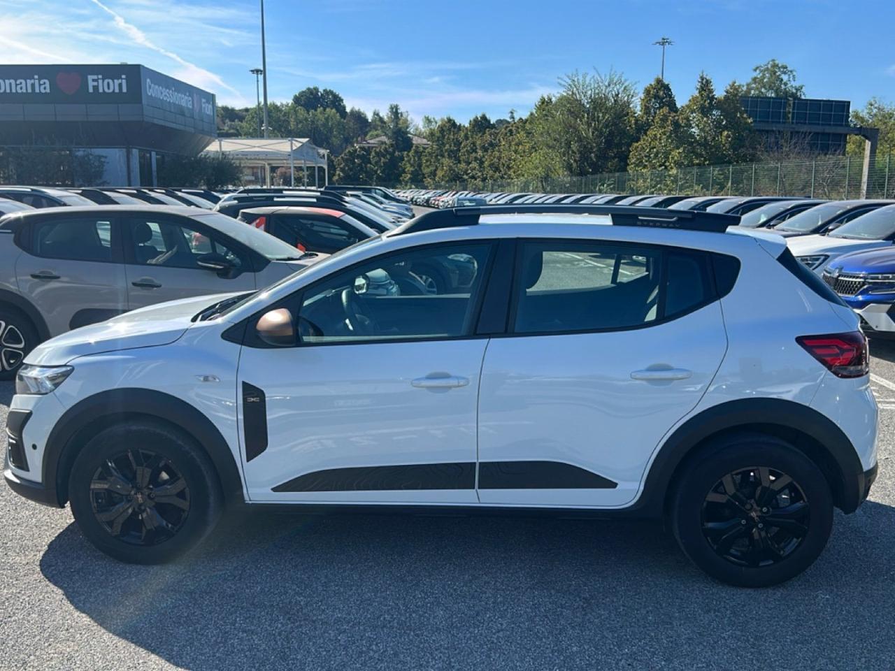 Dacia Dacia Sandero usata 17