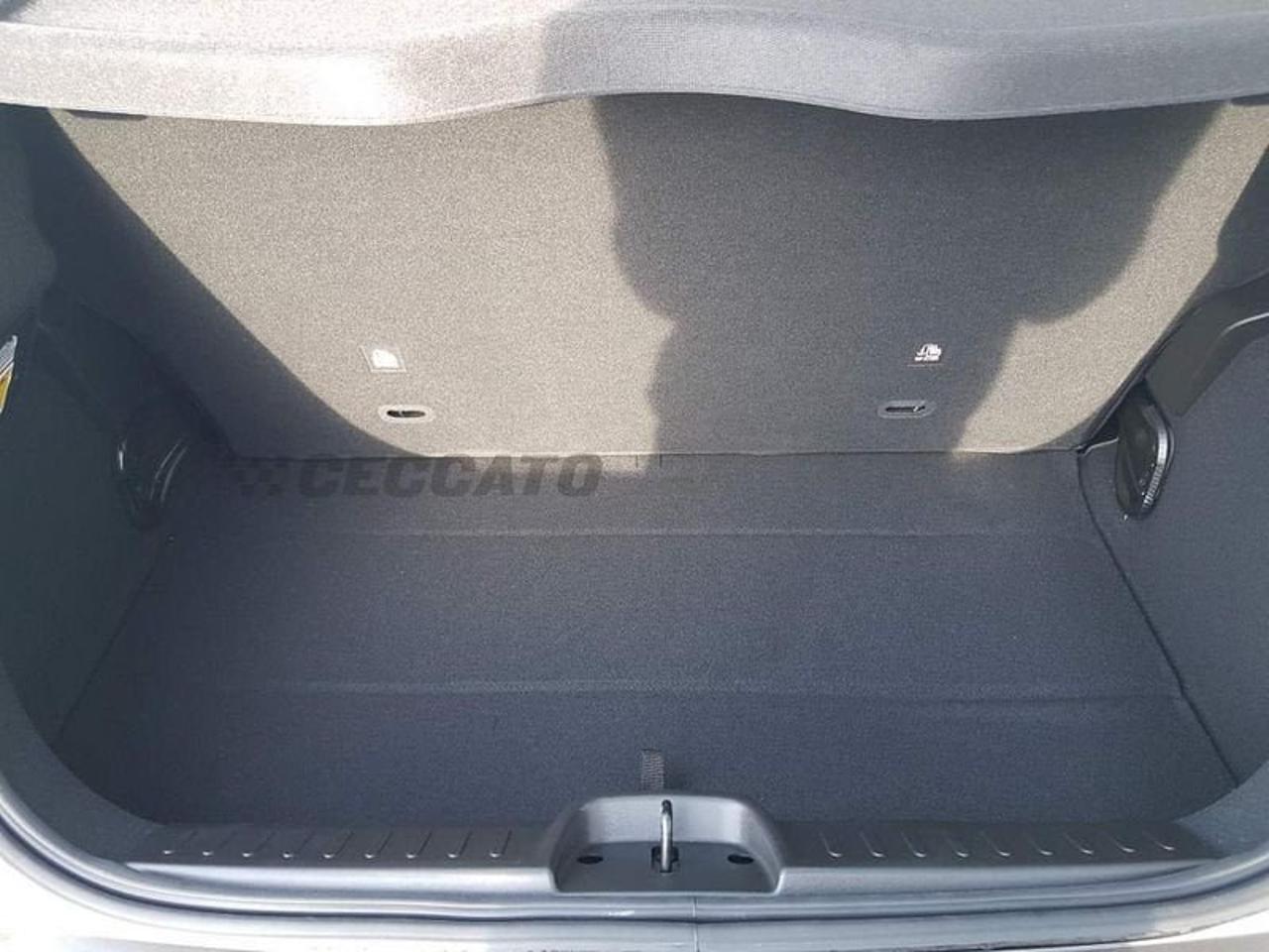 Fiat Fiat 500 usata 12