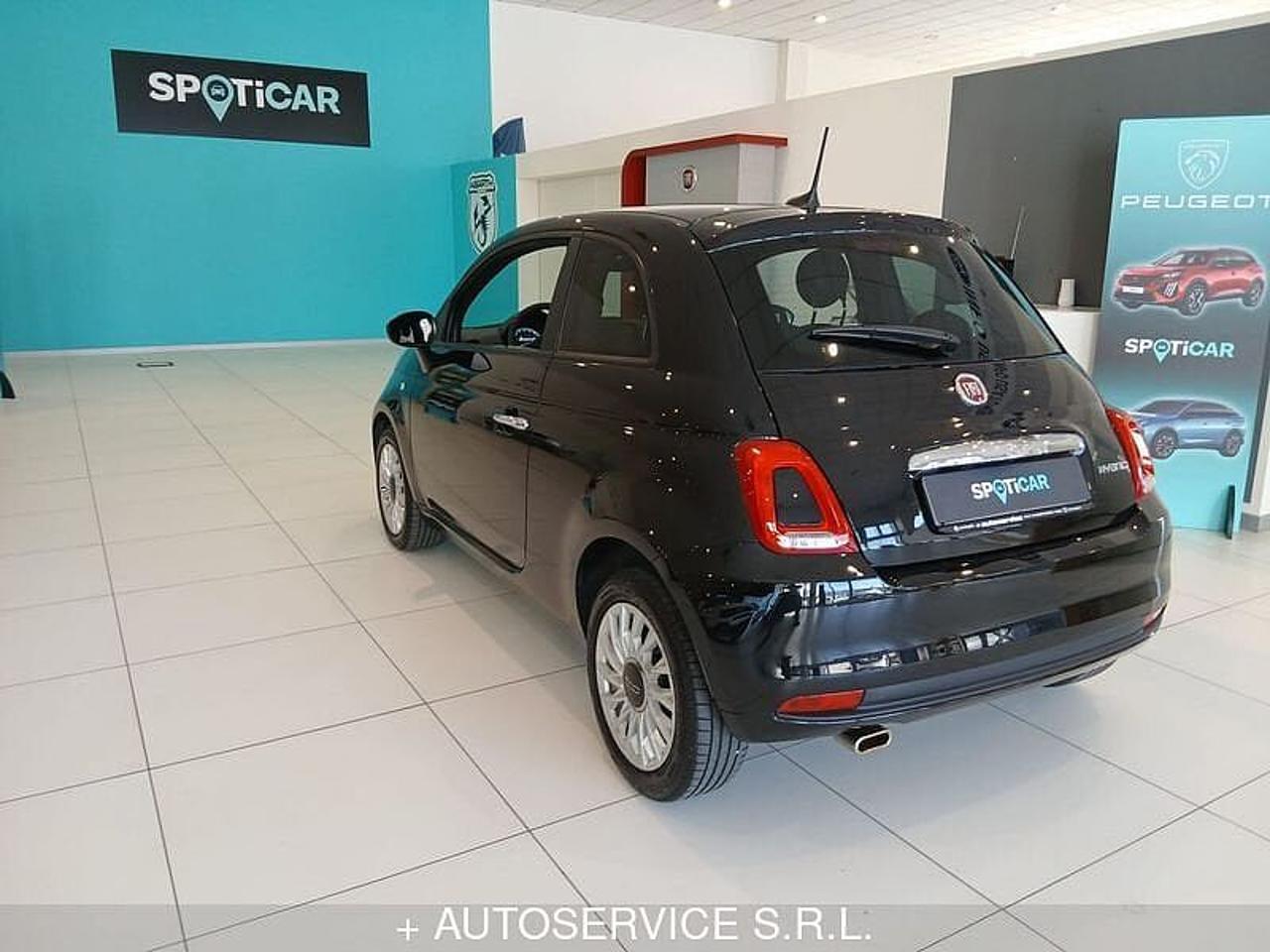Fiat Fiat 500 usata 17