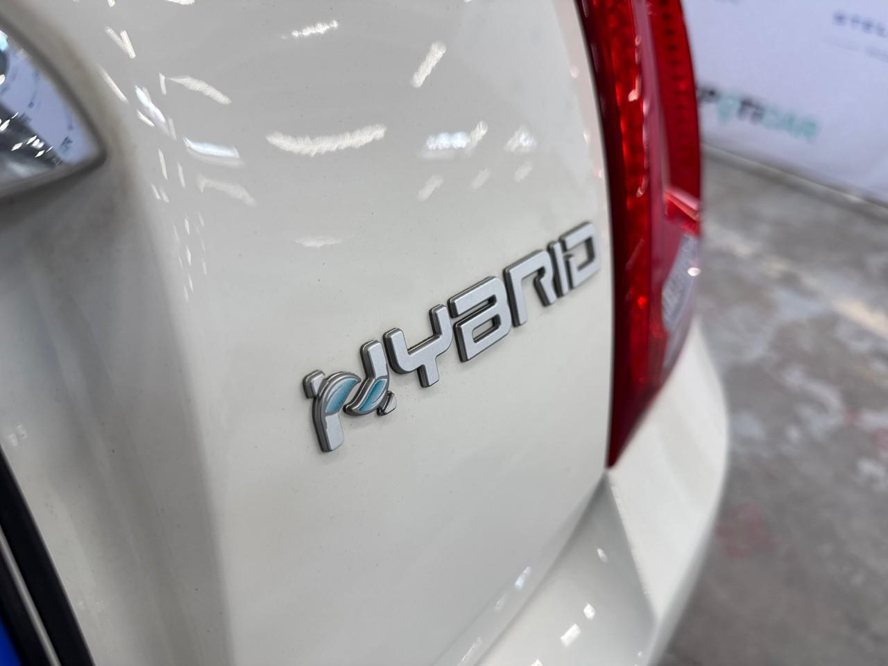 Fiat Fiat 500 usata 10