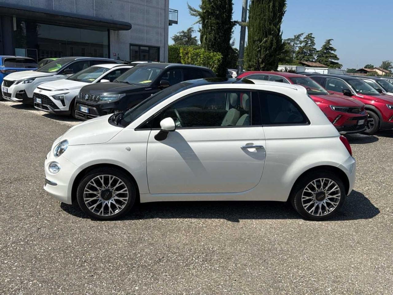 Fiat Fiat 500 usata 11