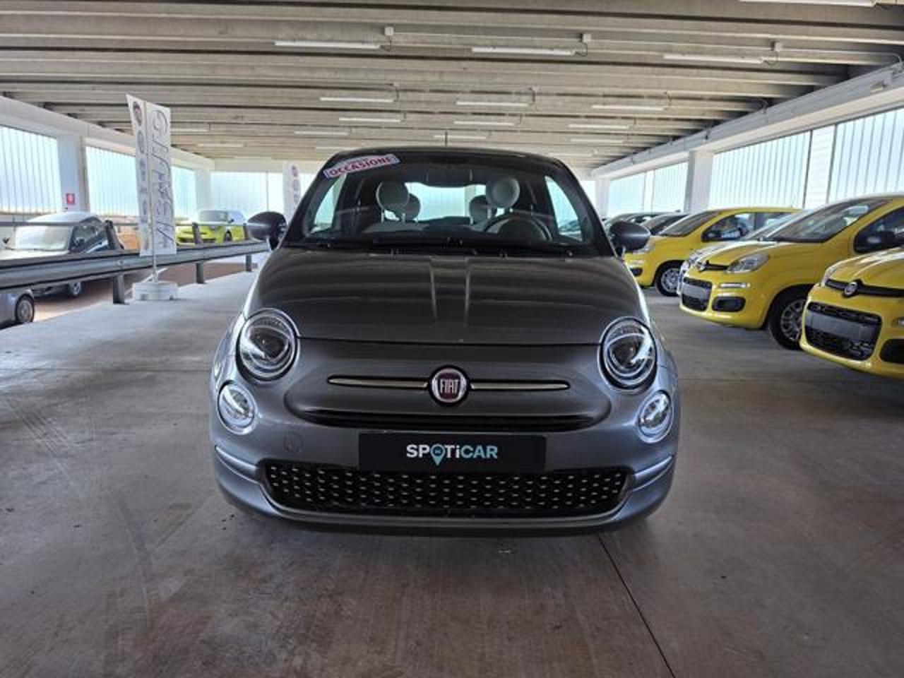 Fiat Fiat 500 usata 11
