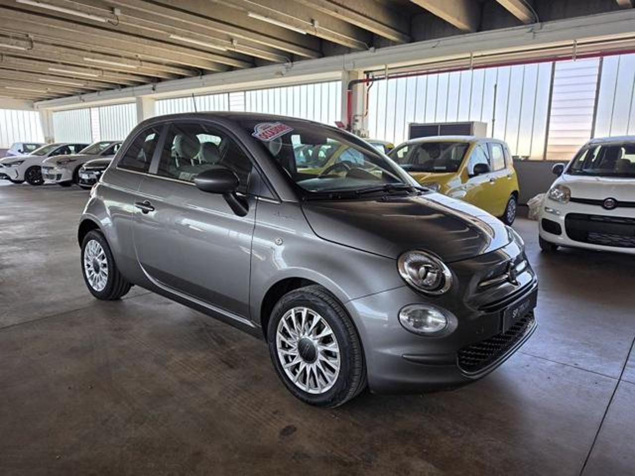 Fiat Fiat 500 usata 13
