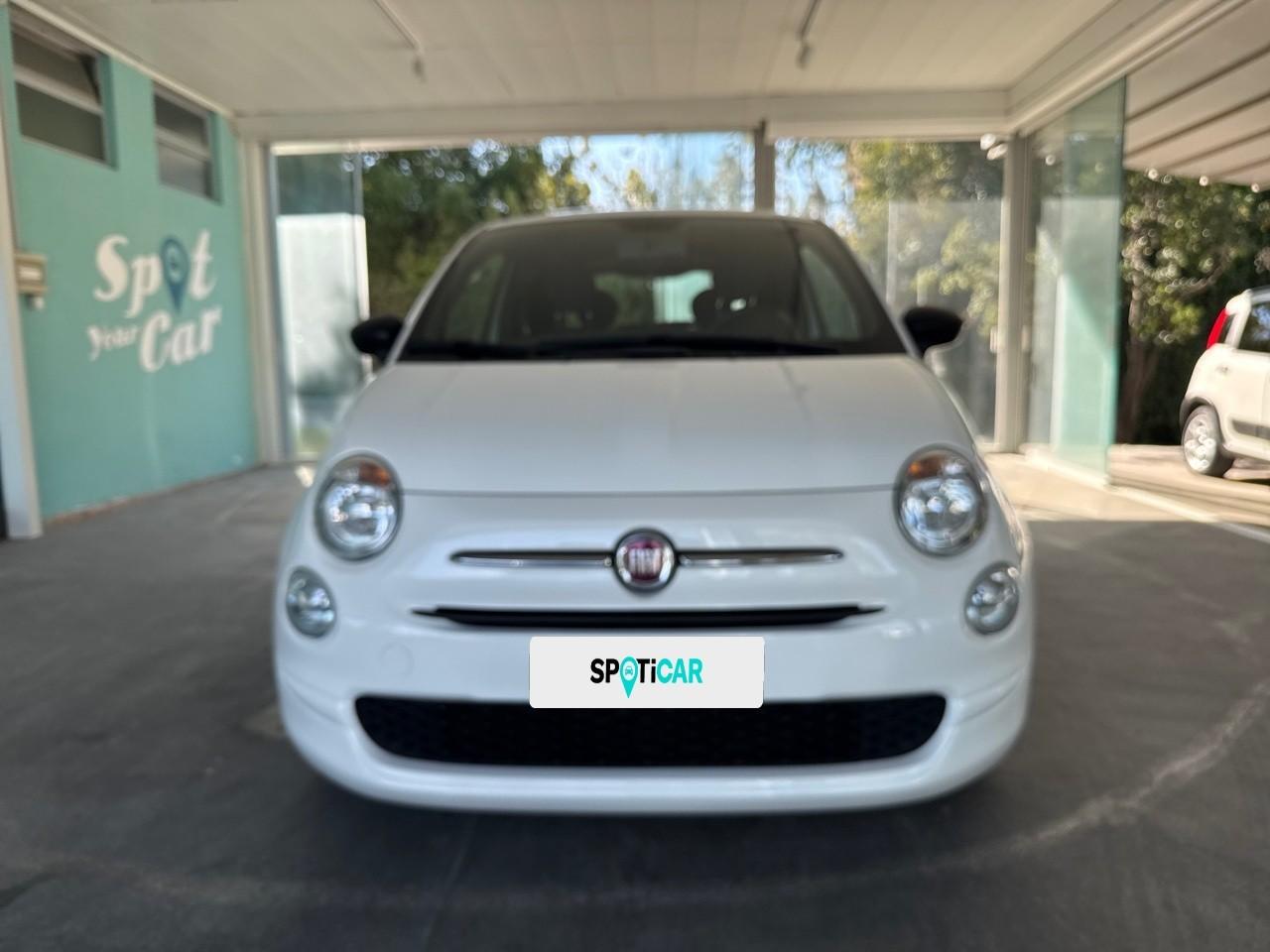 Fiat Fiat 500 usata 11