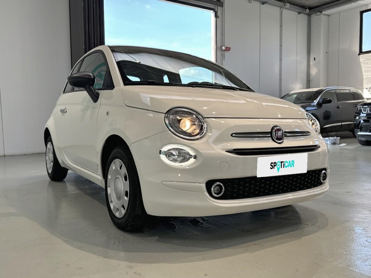 Fiat Fiat 500 usata 13