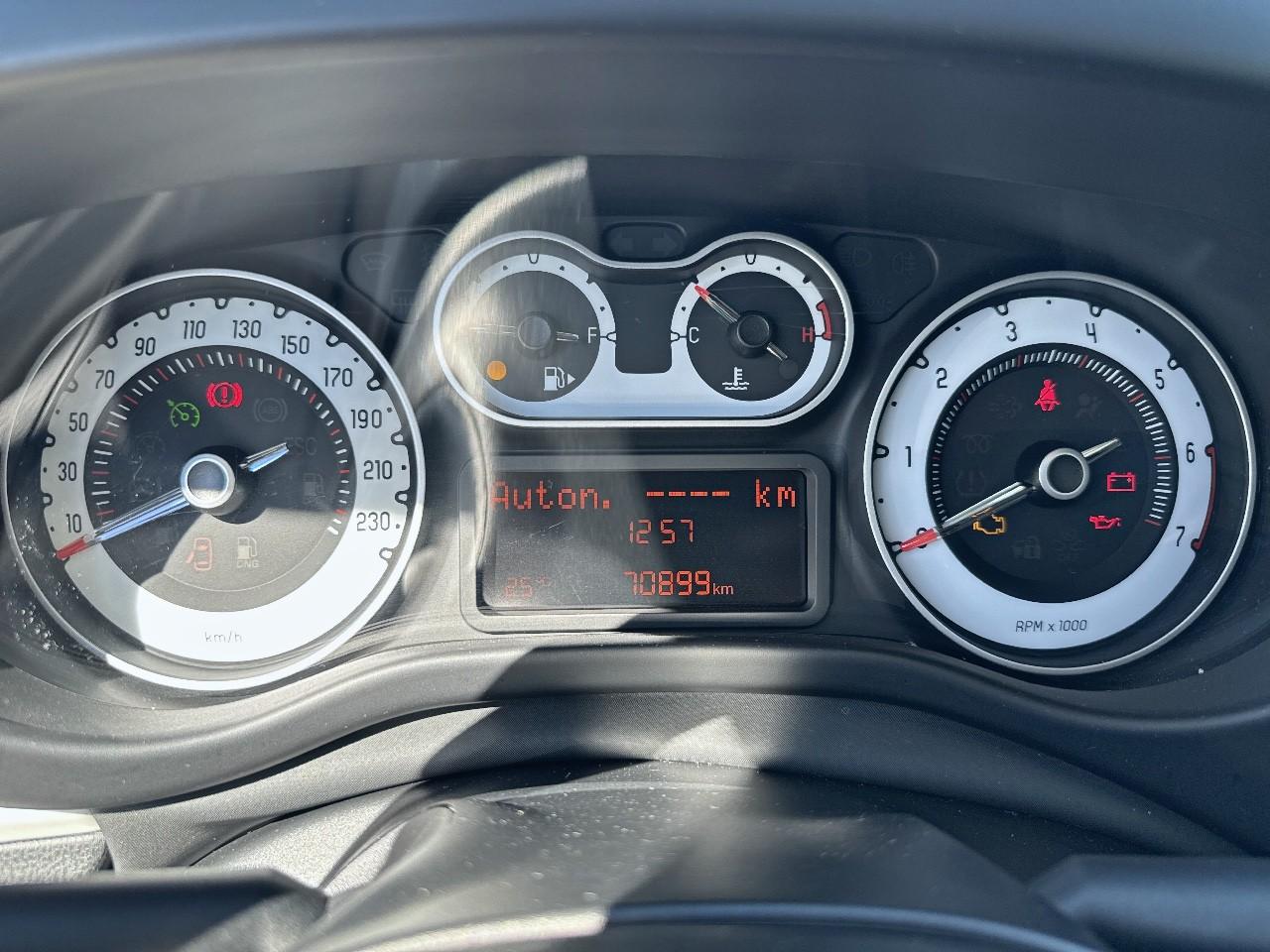 Fiat Fiat 500L usata 9