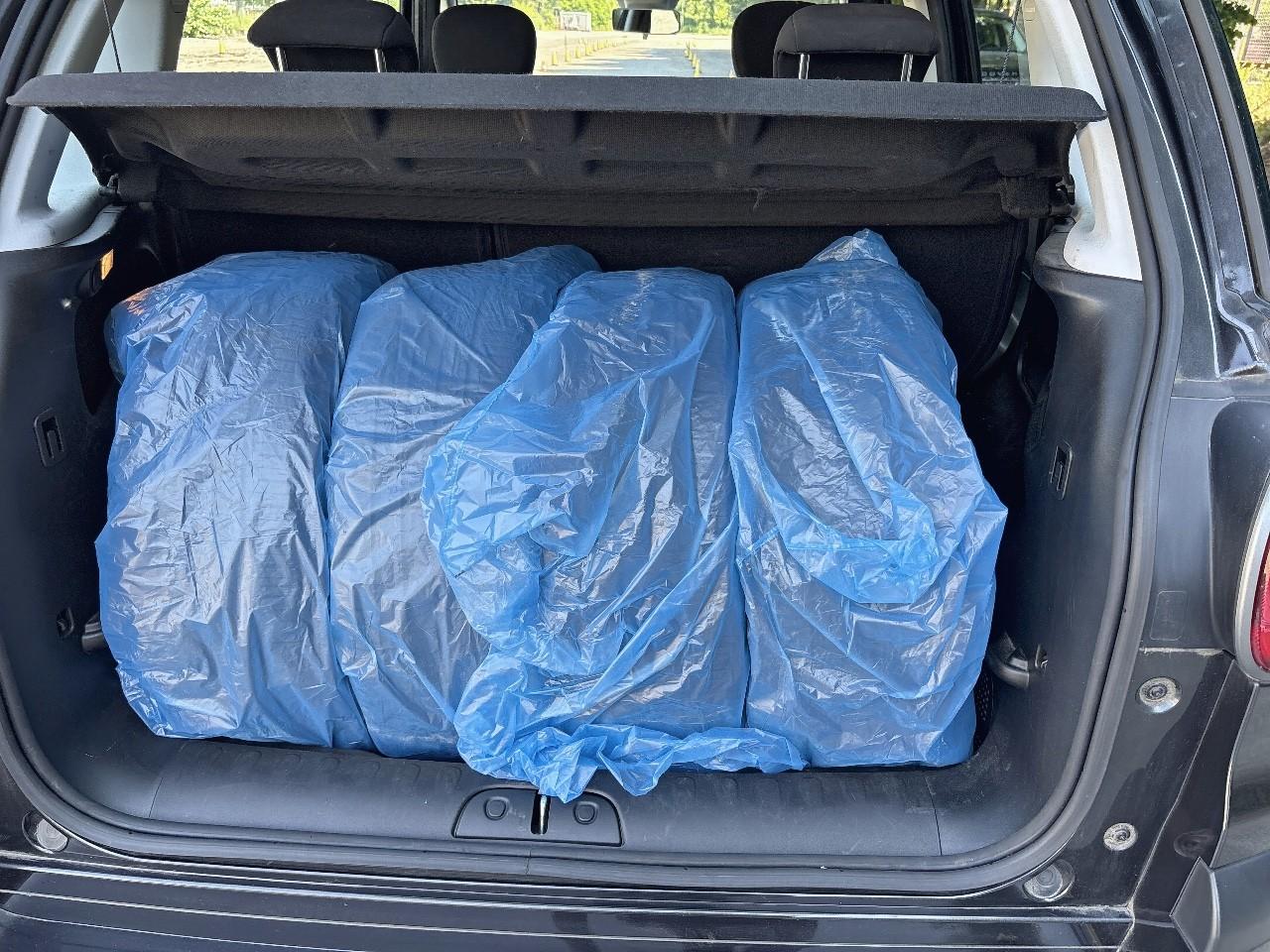 Fiat Fiat 500L usata 17