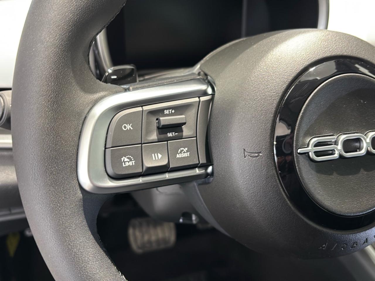 Fiat Fiat 600 usata, con Caricabatterie di bordo da 7,4 kW