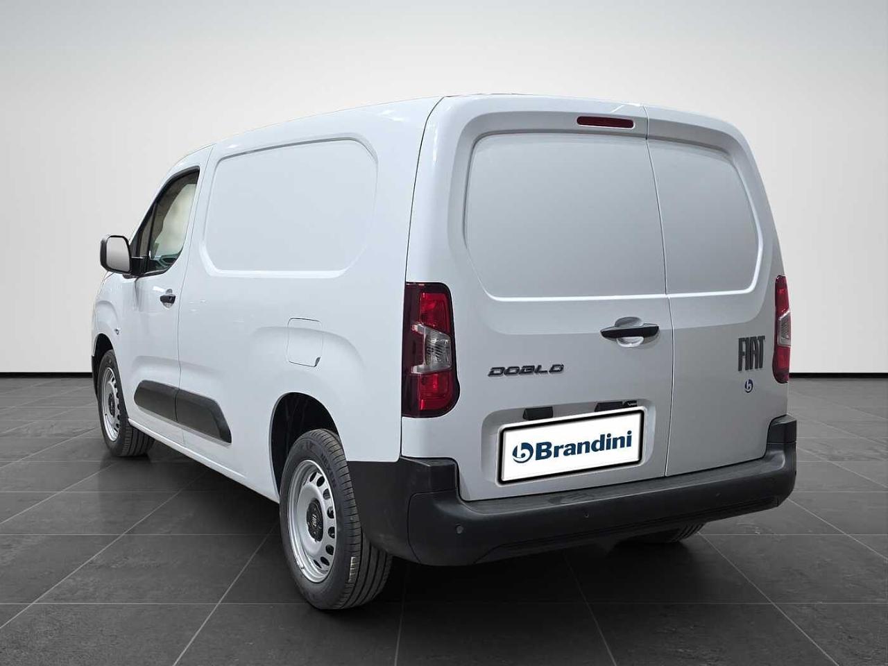 Fiat Fiat Doblo usata 21