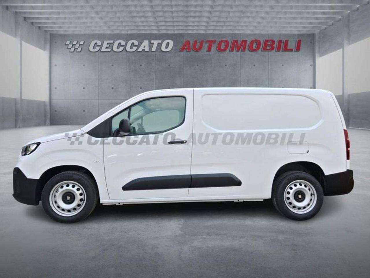 Fiat Fiat Doblo usata 11