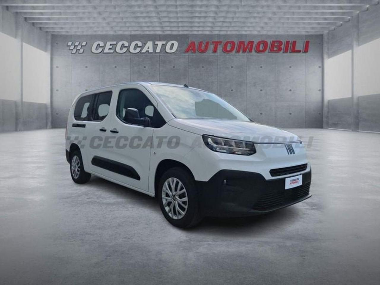 Fiat Fiat Doblo usata 7