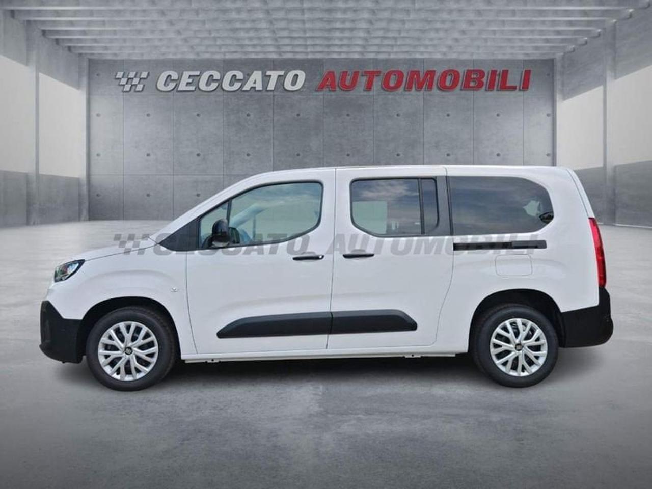 Fiat Fiat Doblo usata 11