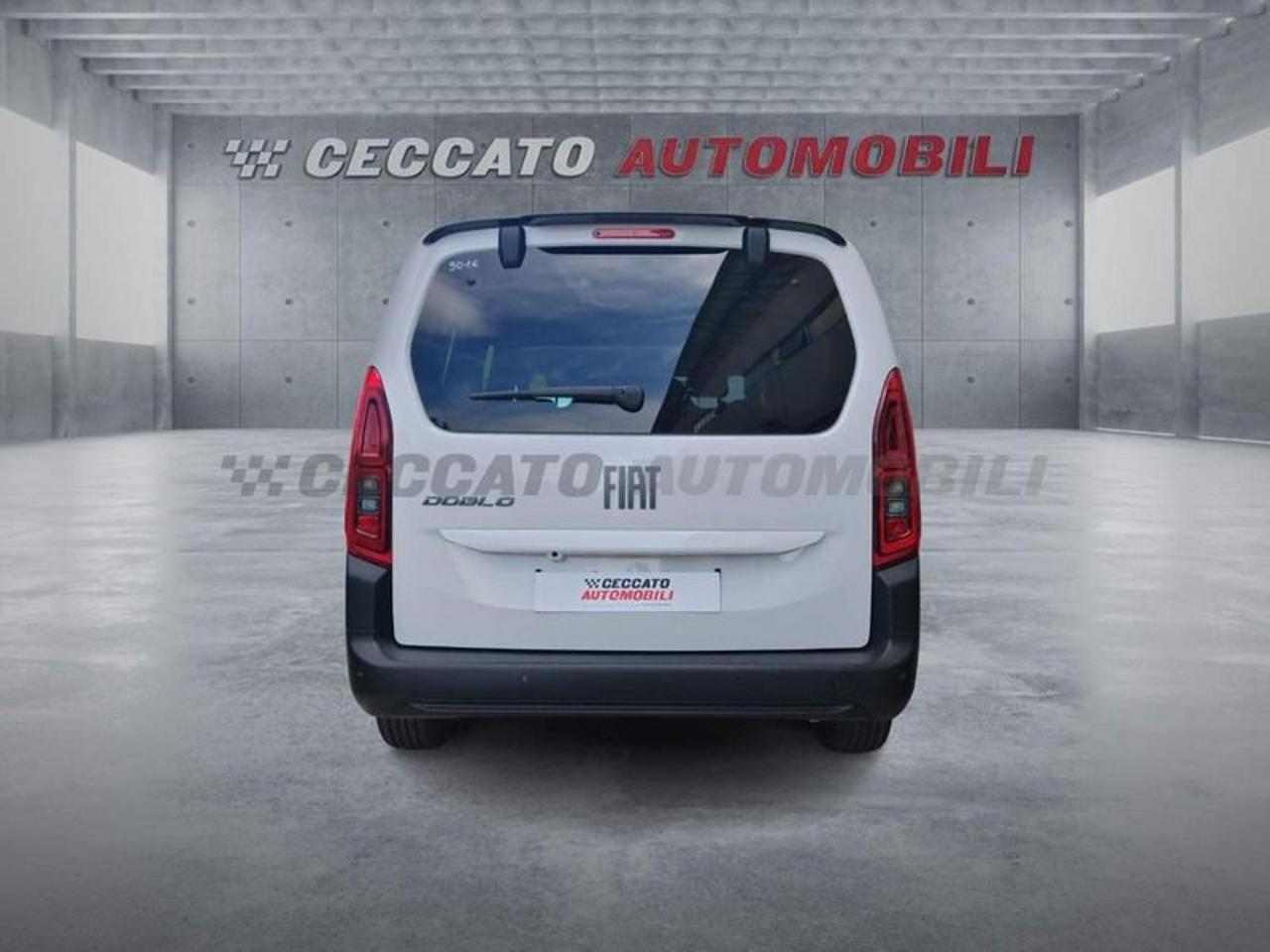 Fiat Fiat Doblo usata 19