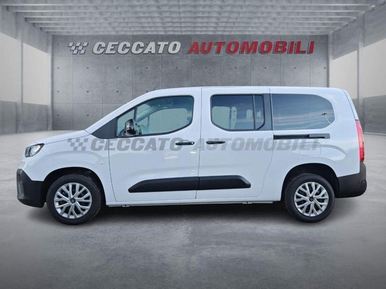 Fiat Fiat Doblo usata 11