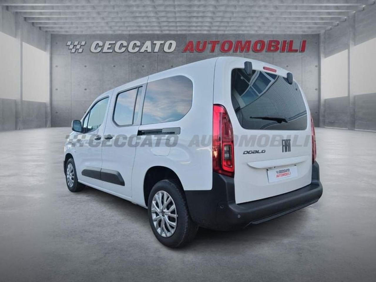 Fiat Fiat Doblo usata 17