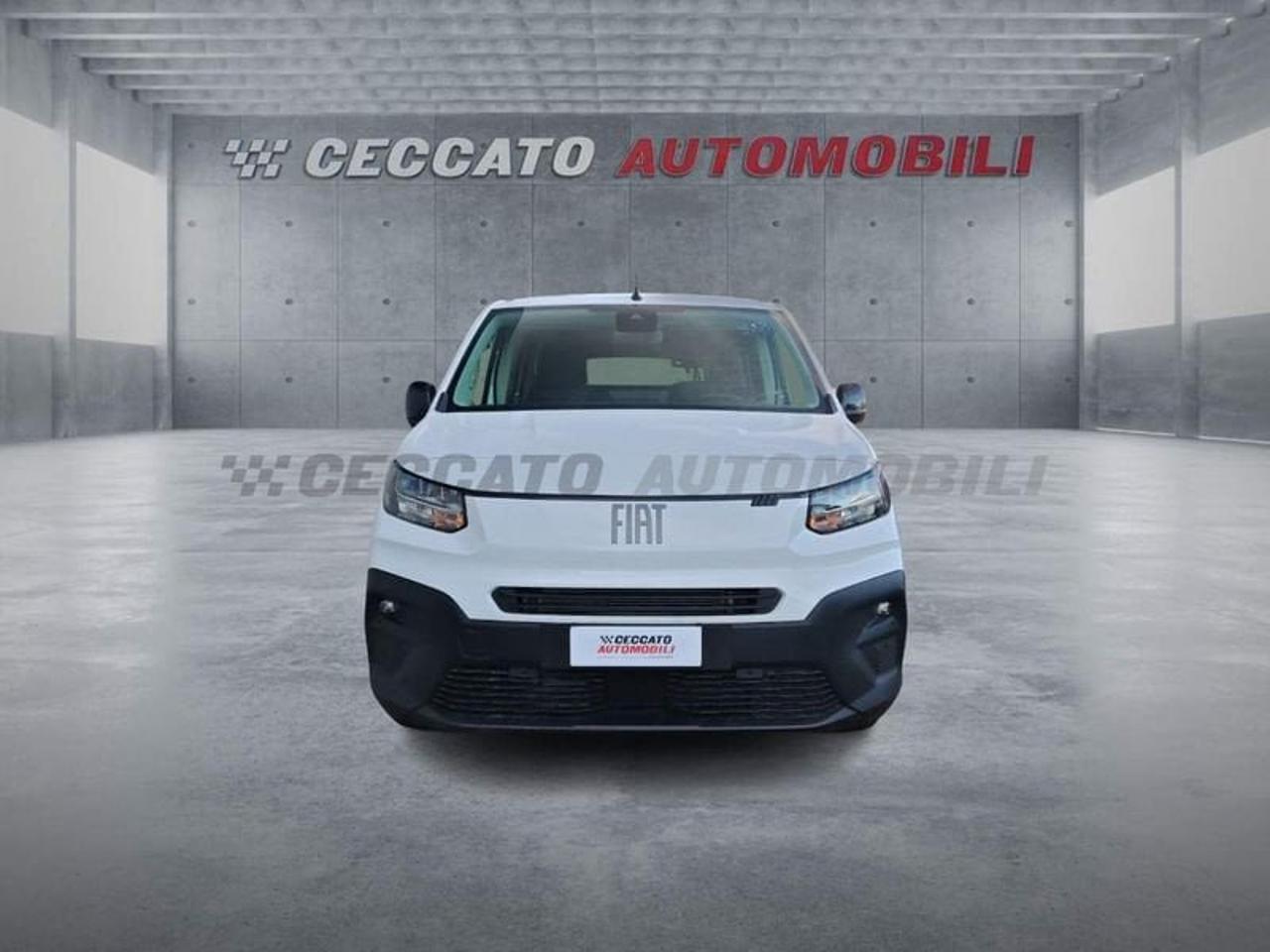 Fiat Fiat Doblo usata 18